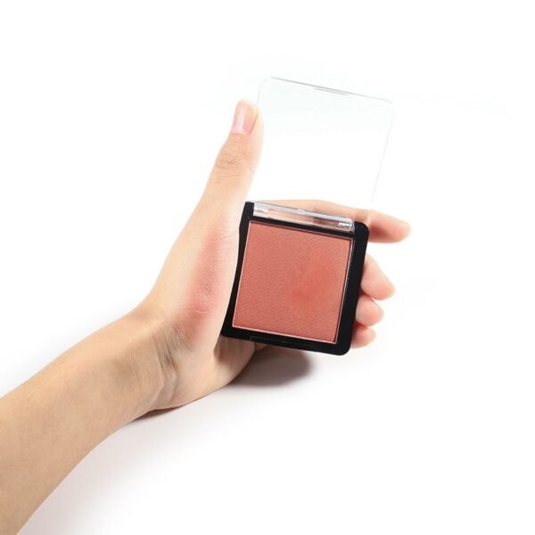 Single blush subtil powder (8)