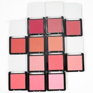 Single blush subtil powder (8)